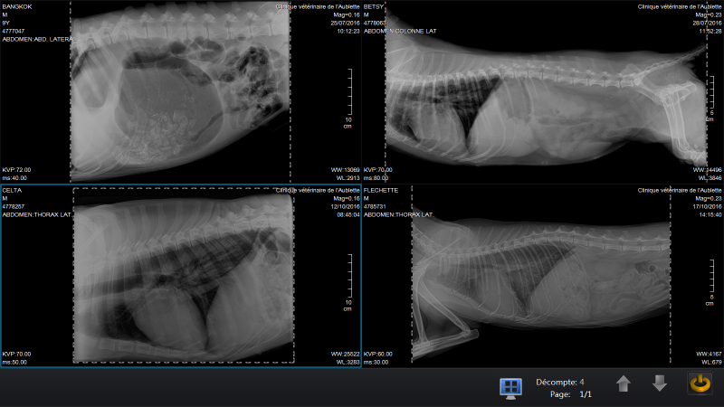 veterinary digital radiography cdr dicom veterinary digital radiography cdr dicom
