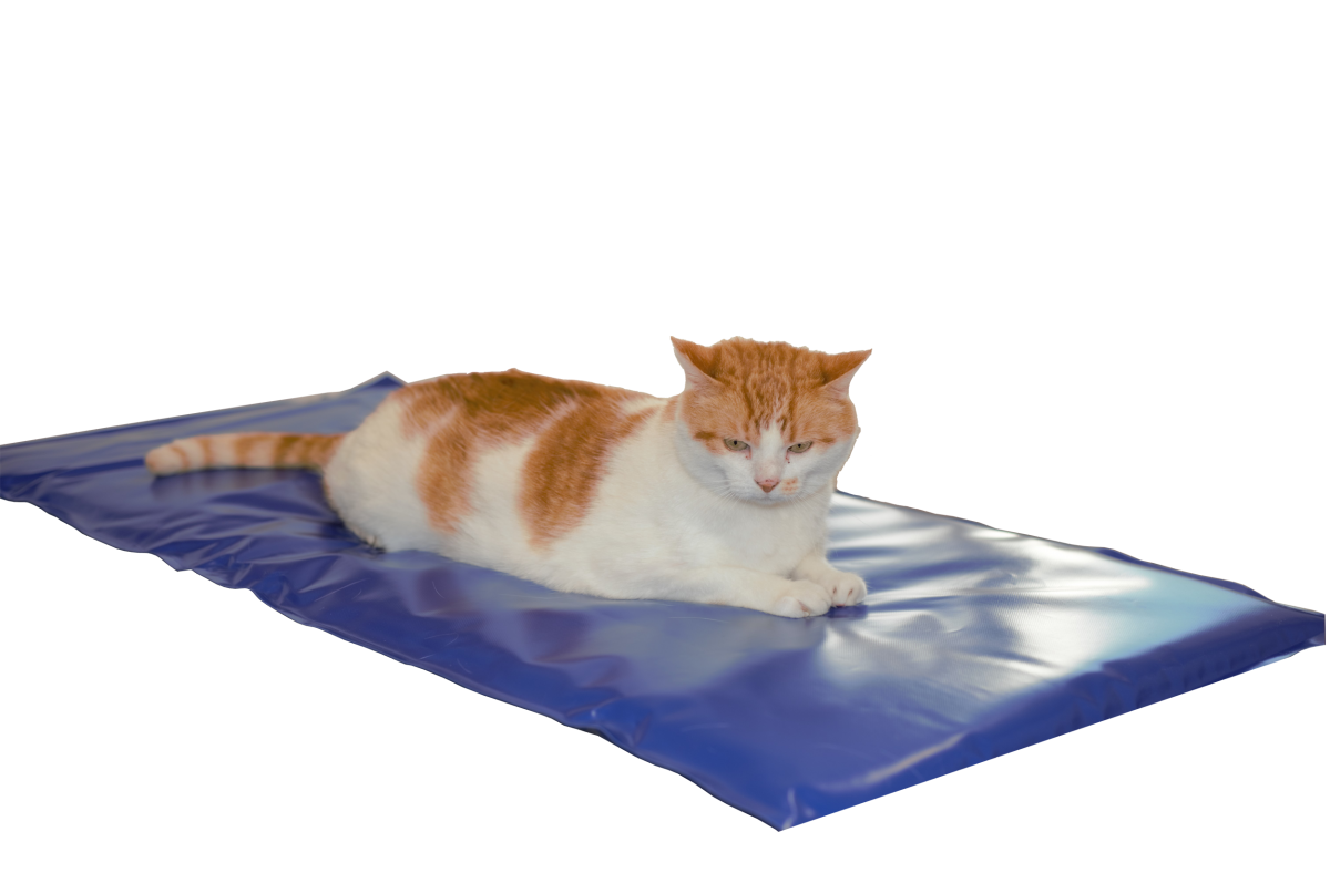 Carbon Tech Heating Mat - Heated mat, Veterinary Equipment