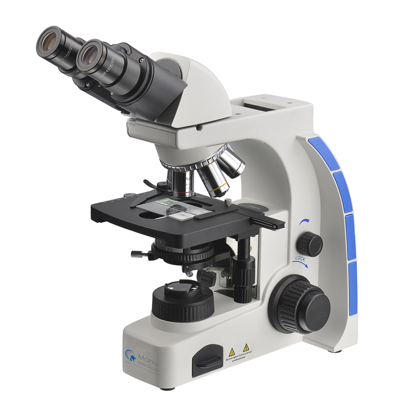 Microscope binoculaire - Clinique Vétérinaire de La Rivière des Pluies