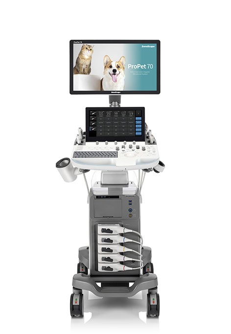 Échographes vétérinaires portables - Appareils et dispositifs  échographiques - Échographes